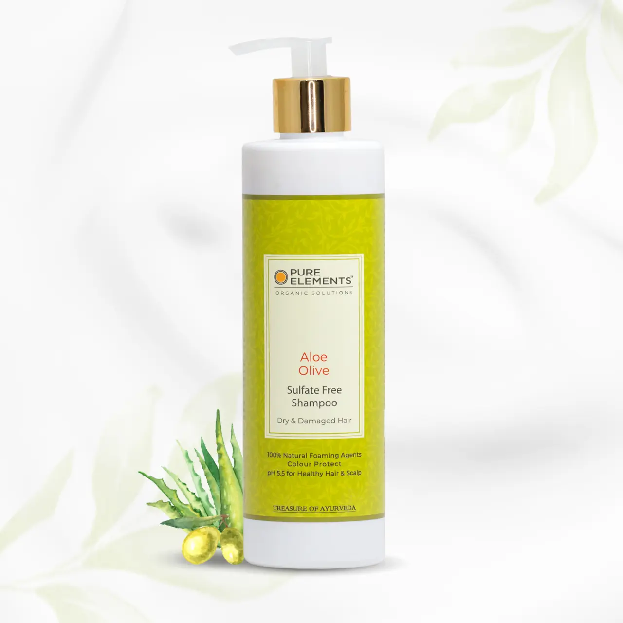 Aloe Olive Shampoo